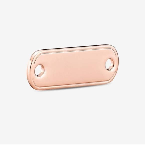 Pandora ME Styling Engravable Link - Picture 1 of 7